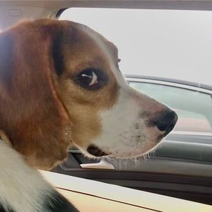 Meet your Posher, Brian